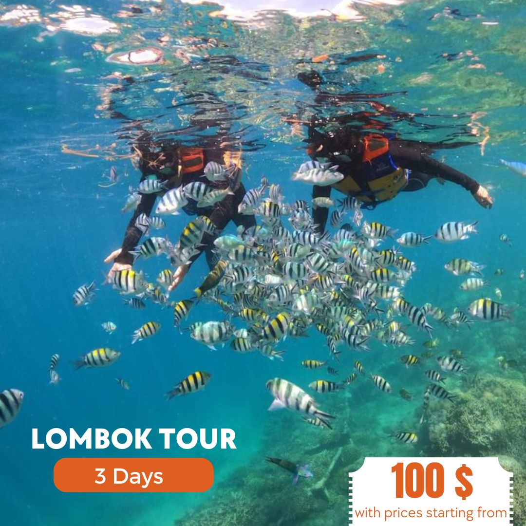 Lombok Private Tour Package – Explore Gili, Mandalika & Cultural